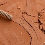 how big is a cord of wood